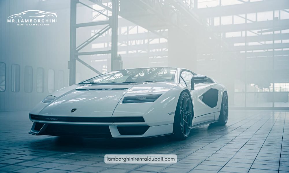 Renting a Car Services